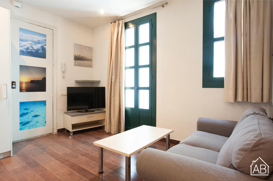 AB Apartment Paseo del Born - Chic 2-bedroom Apartment in El Born - AB Apartment Barcelona