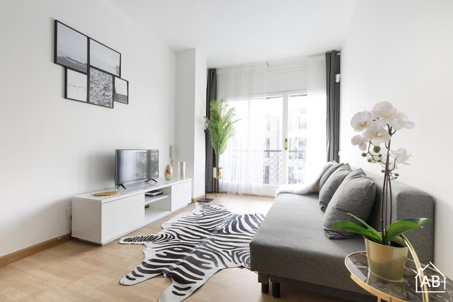 AB Cozy Passeig de Gracia - Apartamento Elegante De Un Dormitorio En El Paseo de Gracia de Barcelona - AB Apartment Barcelona