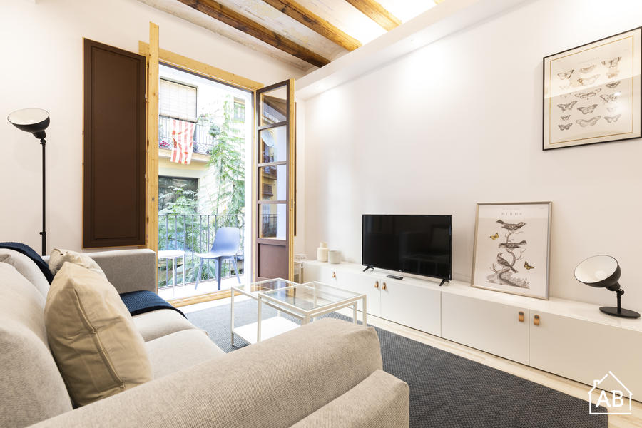 AB Mercat de Sant Antoni VI - 位于扩展区与拉瓦尔区之间的温馨公寓 - AB Apartment Barcelona