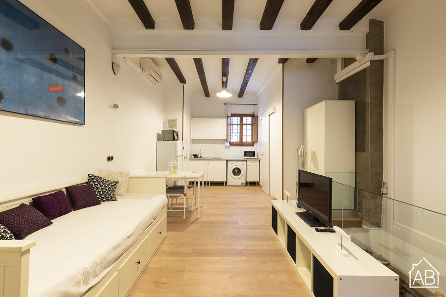 AB Beach Vinarós Duplex Bodega AB Apartment Barcelona