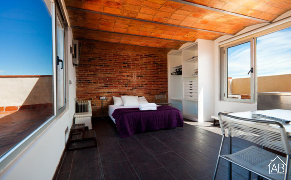 AB Penthouse Sea Views - AB Apartment Barcelona