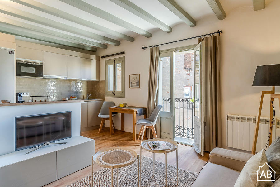 AB Sant Llàtzer III - Charming 2-Bedroom Apartment near Mercat de Sant Antoni - AB Apartment Barcelona